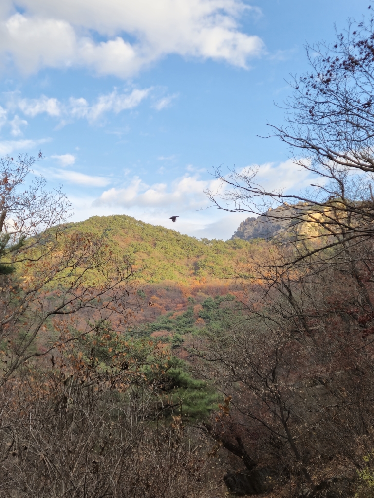 가을색 산